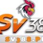 sv388ph